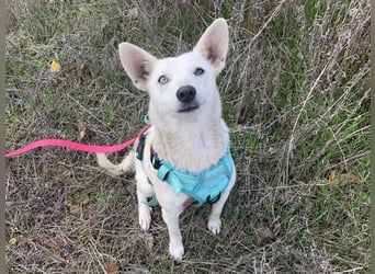 Hübsche Bianca sucht ihre Herzensmenschen