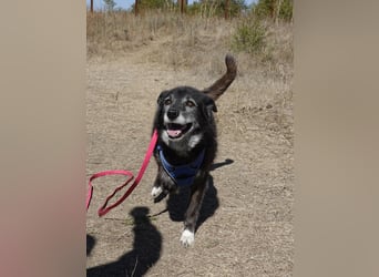 Oma Tammy sucht Menschen mit Herz