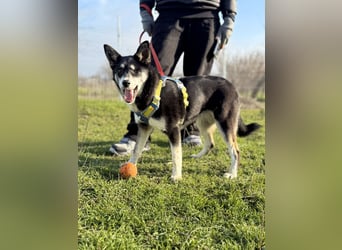 Hübsche Alexa sucht eine liebevolle Familie