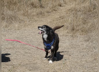 Oma Tammy sucht Menschen mit Herz