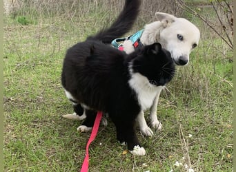 Hübsche Bianca sucht ihre Herzensmenschen