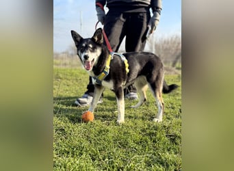 Hübsche Alexa sucht eine liebevolle Familie