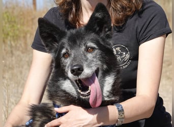 Oma Tammy sucht Menschen mit Herz