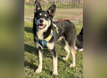 Hübsche Alexa sucht eine liebevolle Familie