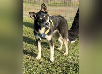 Hübsche Alexa sucht eine liebevolle Fami