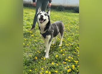 Lejla, geb. 01.09.2020, 50 cm, wartet auf ihr Glück