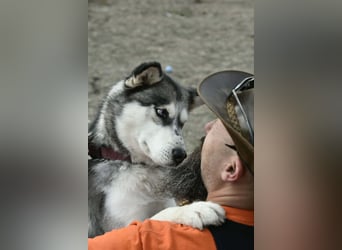 Unser Herzstück: KIRA, 8 Jahre alt