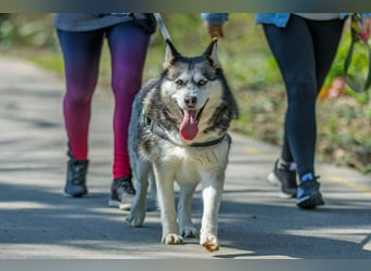 Unser Herzstück: KIRA, 8 Jahre alt