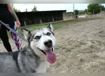 Unser Herzstück: KIRA, 8 Jahre alt