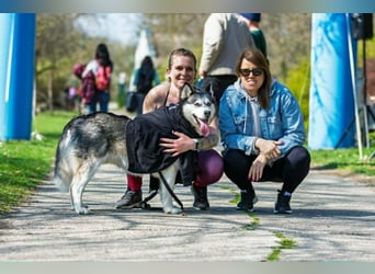 Unser Herzstück: KIRA, 8 Jahre alt