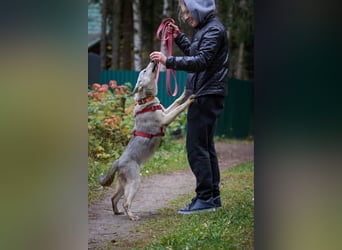 Neugierige RADA sucht eine Familie Neugierige RADA sucht eine Familie