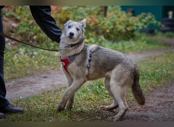 Hübsche Prinzessin FAYE sucht eine Familie