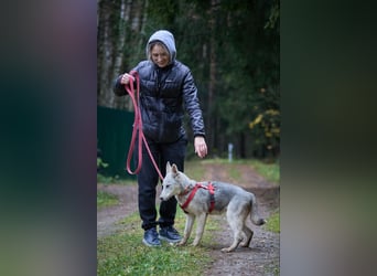 Neugierige RADA sucht eine Familie Neugierige RADA sucht eine Familie
