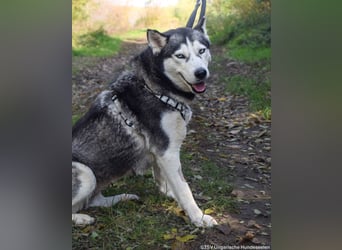 Cher – aus dem Dunkel befreit, jetzt sucht sie Licht im Leben