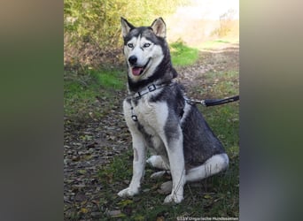 Cher – aus dem Dunkel befreit, jetzt sucht sie Licht im Leben