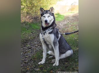 Cher – aus dem Dunkel befreit, jetzt sucht sie Licht im Leben