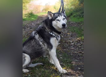 Cher – aus dem Dunkel befreit, jetzt sucht sie Licht im Leben