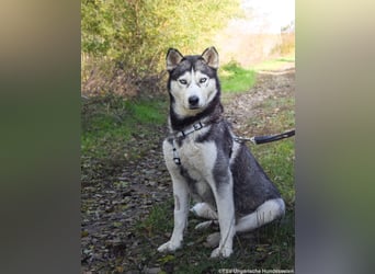 Cher – aus dem Dunkel befreit, jetzt sucht sie Licht im Leben