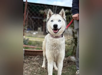 Achtung, verlieben erlaubt: Zelinde!