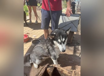 Hanna möchte einfach dazugehören