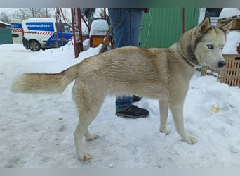 Achtung, verlieben erlaubt: Zelinde!