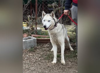 Achtung, verlieben erlaubt: Zelinde!