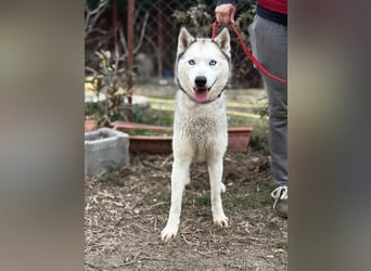 Achtung, verlieben erlaubt: Zelinde!