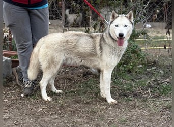 Achtung, verlieben erlaubt: Zelinde!