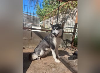 Hanna sucht ein Herz, das sie liebt