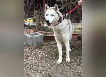 Achtung, verlieben erlaubt: Zelinde!