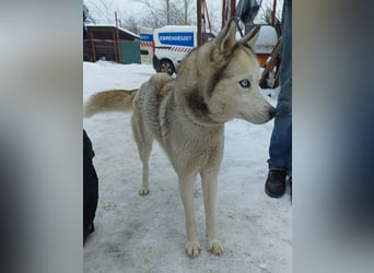 Achtung, verlieben erlaubt: Zelinde!