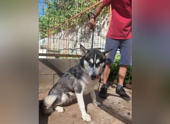 Hanna sucht ein Herz, das sie liebt