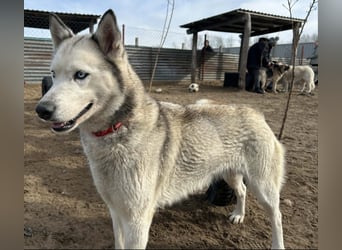 Achtung, verlieben erlaubt: Zelinde!