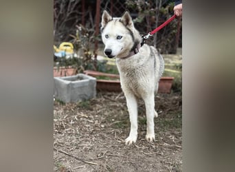 Achtung, verlieben erlaubt: Zelinde!