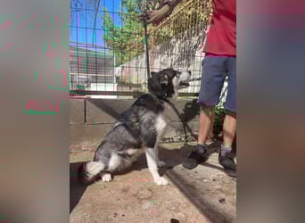 Hanna möchte einfach dazugehören