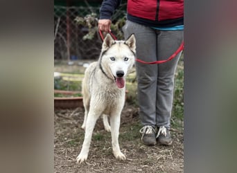 Achtung, verlieben erlaubt: Zelinde!