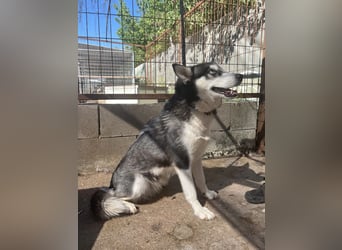 Hanna sucht ein Herz, das sie liebt