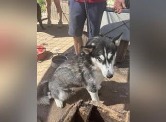 Hanna sucht ein Herz, das sie liebt