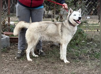 Achtung, verlieben erlaubt: Zelinde!