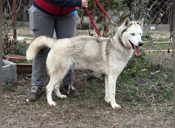Achtung, verlieben erlaubt: Zelinde!