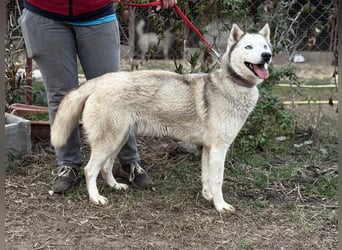 Achtung, verlieben erlaubt: Zelinde!