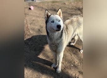 Achtung, verlieben erlaubt: Zelinde!