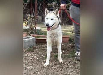 Achtung, verlieben erlaubt: Zelinde!