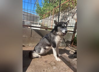 Hanna sucht ein Herz, das sie liebt