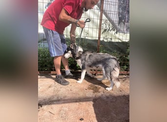 Hanna sucht ein Herz, das sie liebt