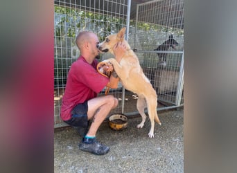 Csillag möchte einen Ruheplatz