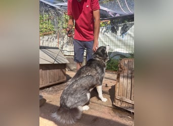 Hanna sucht ein Herz, das sie liebt