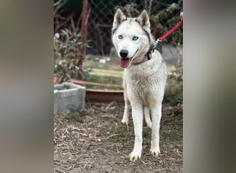 Achtung, verlieben erlaubt: Zelinde!