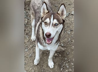 LUNA sucht ihre(n) Menschen...