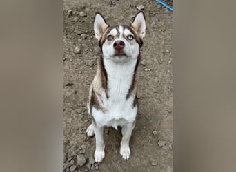 LUNA sucht ihre(n) Menschen...